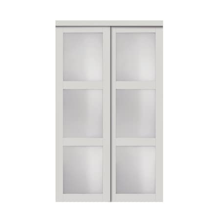 Renin Renin 60 in. x 80 1/2 in. Euro 3-Lite Bypass Door EU2030BWFGE060080